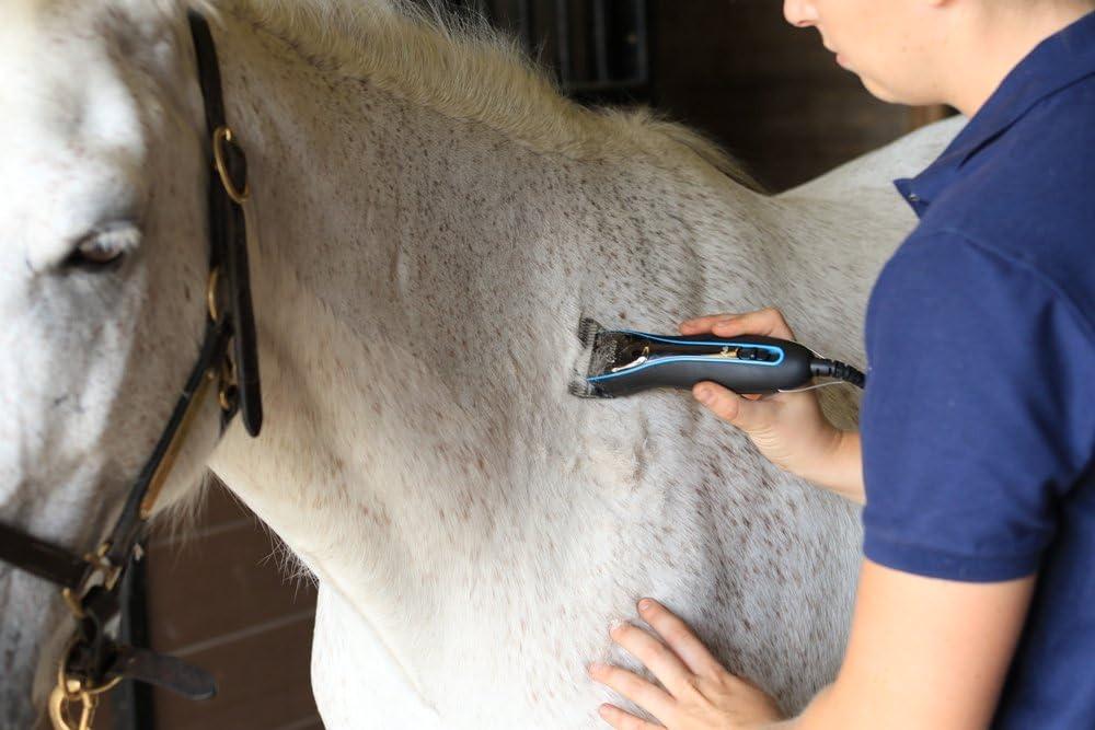 image:imageOster CryogenX Detachable Pet Clipper Blade Size 10 Wide 07891944600510 Wide 24mm