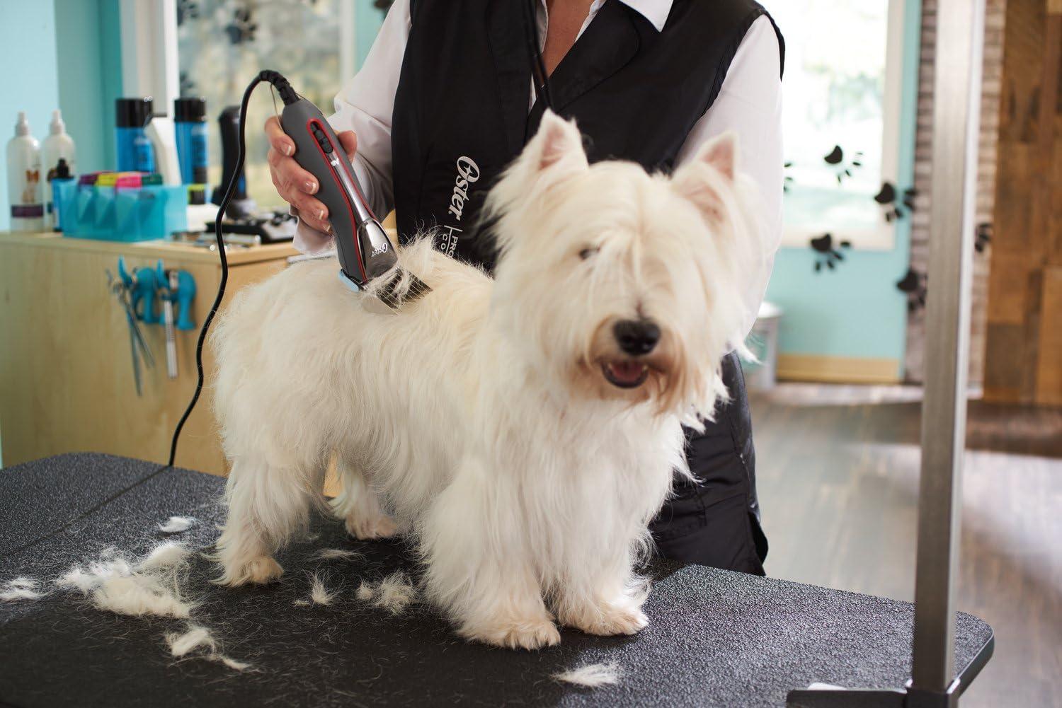 image:imageOster Professional Cordless 3000i Dog amp Animal Clippers Pet Livestock amp Dog Grooming Clippers Ergonomic Heavy Duty Design Includes Size 10 CryogenX Blade Battery amp Charging StandBlack
