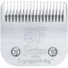 1 Count (Pack of 1)